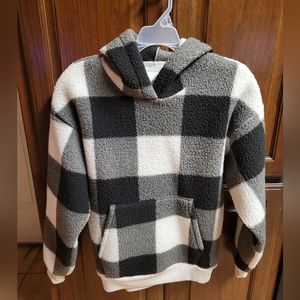 American Eagle Sherpa Hoodie
